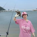 지에스25강릉남항진항점 | 강릉 도다리 원투낚시 남항진 해변 남대천 기수지역 캠낚