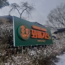 [전북맛집] 꽈배기진 본점 후기 (가격,영업시간)