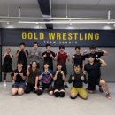 골드레슬링 이미지