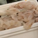 풀빌라케럿 | [태안] 서해바다가 보이는 감성 풀빌라 '케럿'