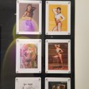 재미짐 여성전용 헬스 PT 노원역점 이미지