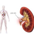 탑연합비뇨의학과의원 이미지