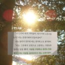 정영수 | New born