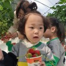 푸른옥 어린이집 이미지