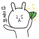 래일스타#PCN 이미지