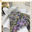 꽃블리 이미지