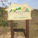 진경원민박캠핑장 이미지