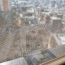 롤방충망 세심함과 열정이 돋보이는 나이스메쉬 후기