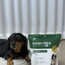 하이덴탈 | 알러지 걱정없는 강아지 덴탈껌 하이케어 덴탈츄 관절 추천