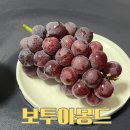 달콤함이 입안 가득 퍼지는 보투아몽드 김천 경산 거봉 솔직후기