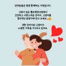 헬로펫 효자점 이미지