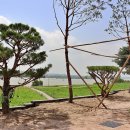 도곡5리마을회관 이미지