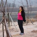임천목장 Daum카페