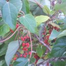 감천1동-11 이미지