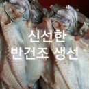 (주)투뿔뿔