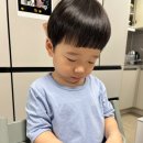 진주청소 - 서귀포시 신서로98번길 30 | 진주매트리스청소 후기｜쇼파청소 만족해서 또 부른 진주 청선 후기