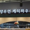 양우연 케익하우스 통영점
