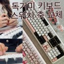 독거미 저소음 사무실키보드 타건음 비교(솜사탕축 월백축 스노우축 교체)