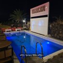 제주게토게스트하우스파티 이미지