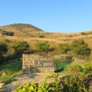 새터축산 이미지