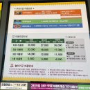 동개울어린이공원 | 서울대공원 평일 방문기｜놀이공원 사람 없어서 꿀잼!