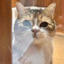 어니헤어 - 구미시 | 어니헤어