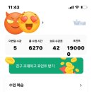 4년 판판차이니즈 내돈내산 후기 / 전화중국어 화상중국어 추천