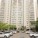 정우산부인과의원 Daum카페