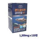 에버그린 이미지