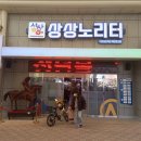 대박 노리터 이미지