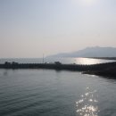 득량만 바다낚시공원 Daum카페