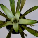 화이트 클라우드 이미지