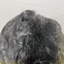 에이비씨헤어 - 세종특별자치시 다정중앙로 45 | 신생아부터 어린이까지 쓰는 올인원 클렌저 '에이비씨덤 젤 무쌍' 펭귄 워시 사용 후기 (feat. 아기냄새)