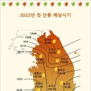 2022년 단풍일정 이미지