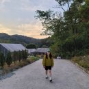 유미패션 | 유미비 빅사이즈 볼캡 내돈내산 구매 후기, 대두볼캡, 얼굴 작아보이는 볼캡