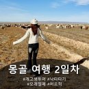 우리 셋 주유소 | 여자셋의 개고생 몽골 여행 2일차 (낙타타기, 모래썰매, 허르헉)