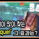 영종도 동물약국 이미지