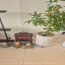 운중로146번길 이미지