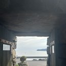 보령화원 이미지