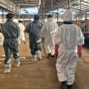 천년농장 이미지