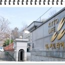(주)키토라이프 이미지