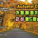 💜가을에 듣기 좋은 1💜감성 올드팝송 모음｜Autumn Oldies Songs 이미지