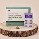 메이올웨이즈 이미지