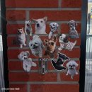 명원숯불갈비 | [독립문/맛집] 🦭프릳츠 독립문점 &amp; 명원숯불갈비 솔직후기