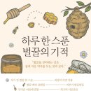 교토앤하루