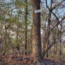 신덕리 ~ 인지리 이미지