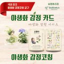 놀이를통한통합교육센터 이미지