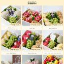 과일플래너