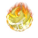 가온 익스트림 태권도장 이미지