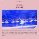 마포문화아트센터 화장실 이미지